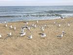     
: 08092011512.jpg
: 35
:	145.8 
ID:	3075447