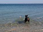     
: Фото0779.jpg
: 23
:	129.3 
ID:	3078172