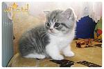     
: X-Ray4.jpg
: 28
:	40.2 
ID:	3082367