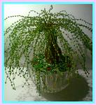     
: a01ff0b43925784e6ec7b9f8515e5cb2.jpg
: 69
:	112.9 
ID:	3083401