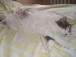     
: P7301967.JPG
: 25
:	255.8 
ID:	3085335