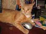     
: IMG_0023.jpg
: 21
:	112.9 
ID:	3085787