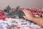     
: IMG_4399.jpg
: 33
:	249.1 
ID:	3087347