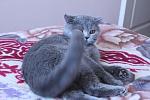     
: IMG_4407.jpg
: 33
:	265.5 
ID:	3087348