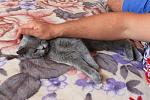     
: IMG_4395.jpg
: 42
:	196.2 
ID:	3087353