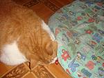     
: DSC03118.JPG
: 18
:	132.2 
ID:	3088091