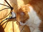     
: DSC03305.JPG
: 21
:	124.4 
ID:	3088092