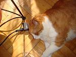     
: DSC03304.JPG
: 19
:	124.5 
ID:	3088093