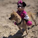     
: IMG_9238.jpg
: 58
:	83.8 
ID:	3093352