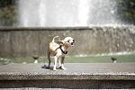     
: z_439253e7.jpg
: 77
:	263.7 
ID:	3093410