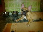     
: 120920115707.jpg
: 41
:	117.4 
ID:	3093440