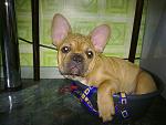     
: 110920115685.jpg
: 40
:	128.8 
ID:	3093443