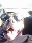     
: IMG0010A.jpg
: 18
:	16.1 
ID:	3093512