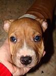     
: DSC05602(1)~1.jpg
: 18
:	42.8 
ID:	3093513