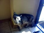     
: 14092011200.jpg
: 51
:	106.7 
ID:	3096771