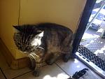     
: 14092011202.jpg
: 54
:	128.5 
ID:	3096773