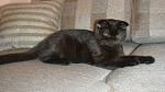     
: DSC04712.jpg
: 22
:	160.9 
ID:	3098033