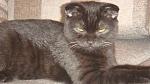     
: DSC04713.jpg
: 23
:	129.5 
ID:	3098035