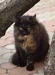     
: P4290447mini.jpg
: 27
:	50.1 
ID:	310347