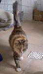     
: P4290427mini.jpg
: 26
:	39.9 
ID:	310358