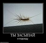     
: x_057f222d.jpg
: 13
:	82.5 
ID:	3103674