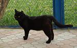     
: P4290438mini.jpg
: 51
:	93.3 
ID:	310429