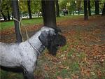    
: e1795b95e690.jpg
: 62
:	73.4 
ID:	3107276