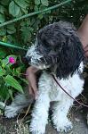     
: z_6acd7d84.jpg
: 33
:	207.2 
ID:	3107920