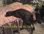     
: 742715929.jpg
: 48
:	46.5 
ID:	311744
