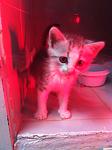     
: IMG_0368.jpg
: 64
:	65.4 
ID:	3117512
