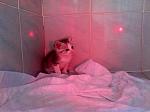     
: IMG_0381.jpg
: 75
:	215.8 
ID:	3117515