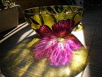     
: P9170019.jpg
: 20
:	198.6 
ID:	3120405