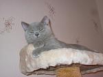     
: IMG_0859.jpg
: 48
:	88.4 
ID:	3121205