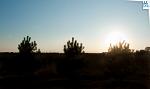     
: _DSC0015.jpg
: 9
:	62.5 
ID:	3122520