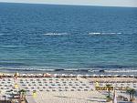     
: IMG_2204.jpg
: 83
:	215.5 
ID:	3124157