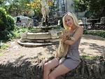     
: IMG_0193.jpg
: 288
:	241.0 
ID:	3128617
