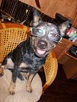     
: DSCN0401.jpg
: 17
:	130.5 
ID:	3131804
