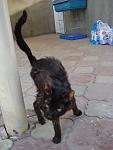     
: DSC04512.jpg
: 28
:	76.3 
ID:	3132794