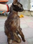     
: DSC04508.jpg
: 31
:	85.7 
ID:	3132795