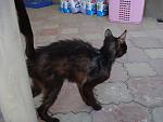     
: DSC04511.jpg
: 32
:	106.3 
ID:	3132796