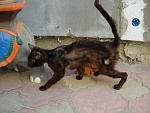     
: DSC04509.jpg
: 36
:	118.4 
ID:	3132798