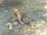     
: DSC01267.jpg
: 131
:	224.9 
ID:	3132923
