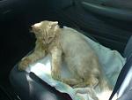     
: DSC01253.jpg
: 80
:	97.5 
ID:	3133132