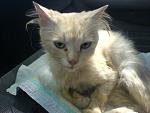     
: DSC01263.jpg
: 91
:	113.4 
ID:	3133133