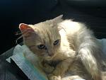     
: DSC01261.jpg
: 86
:	116.1 
ID:	3133134