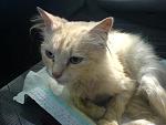     
: DSC01262.jpg
: 76
:	119.9 
ID:	3133135