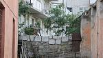     
: IMG_5921.JPG
: 93
:	144.4 
ID:	3133213