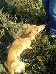     
: 20110922145454.jpg
: 126
:	202.6 
ID:	3133833