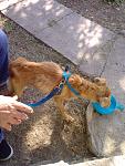     
: 20110922153438.jpg
: 127
:	161.6 
ID:	3133834