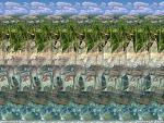     
: 3381_stereogramma.jpg
: 252
:	70.8 
ID:	313441